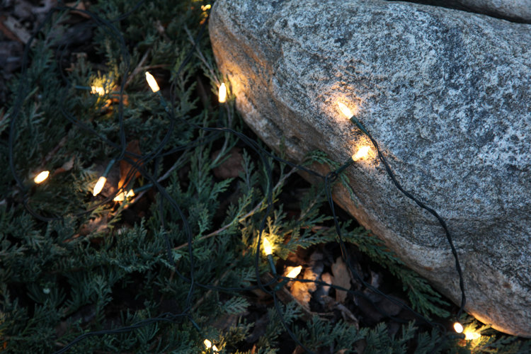 LED vs. Incandescent Christmas Lights What Are the Differences? Wayfair